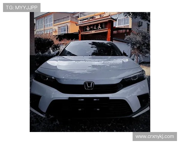 10万买思域被亲戚嘲笑精神少年，开一年后他们集体沉默了