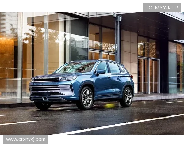 10万就能买自主高端？星途LX 1.5T竞争力解析