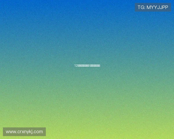 12年老司机点评锋范 时尚省油空间大