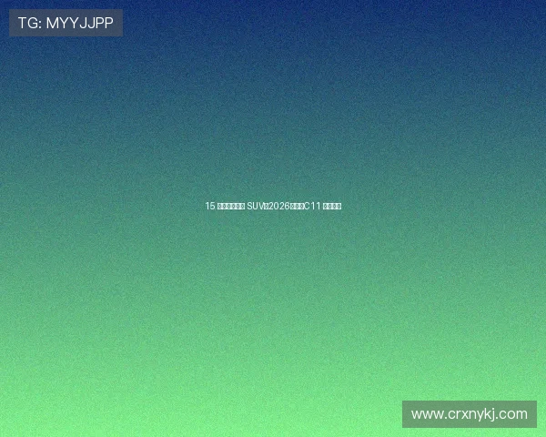 15 万左右买中型 SUV，2026款零跑C11 值得一看